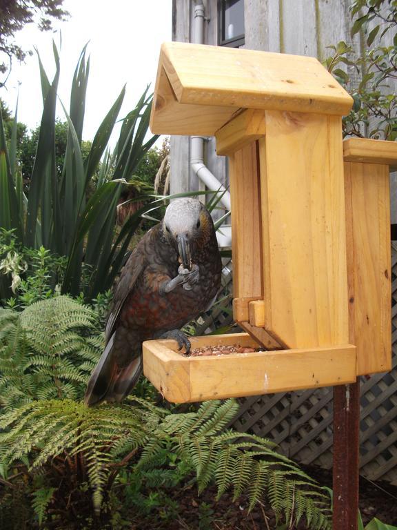 Kaka Retreat Motel, Stewart Island Half-moon Bay Buitenkant foto